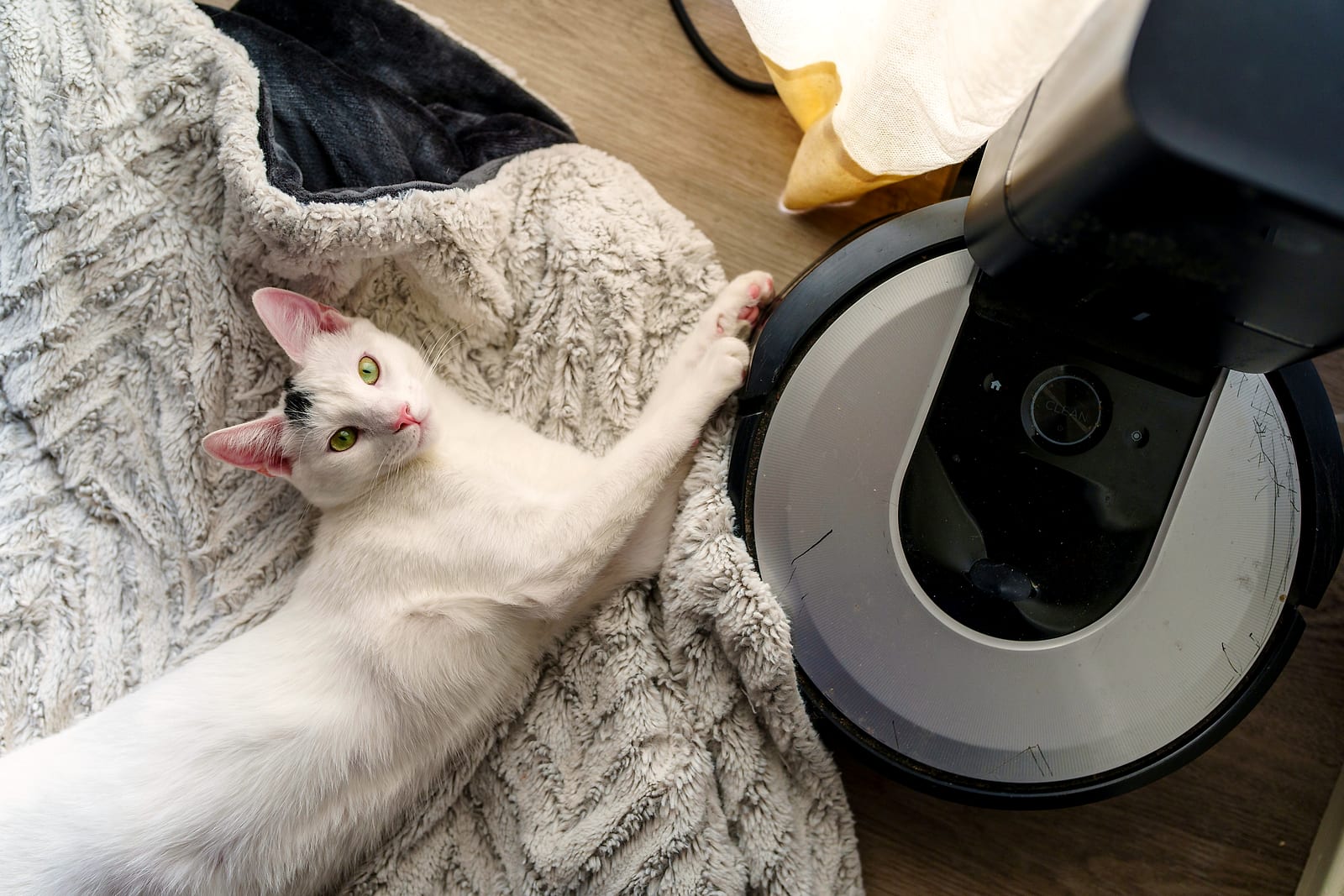 iRobot Roomba
