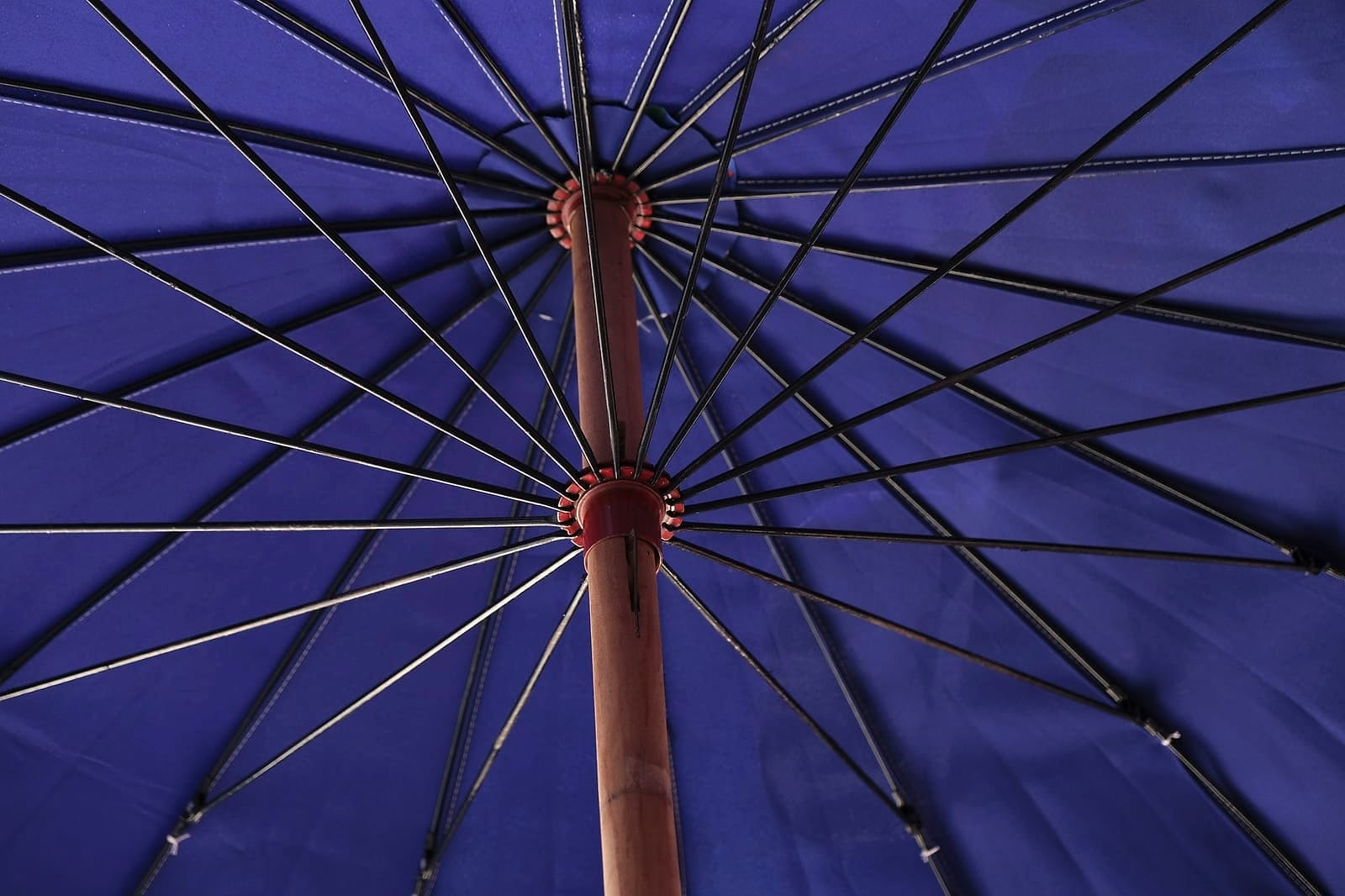 Parasol
