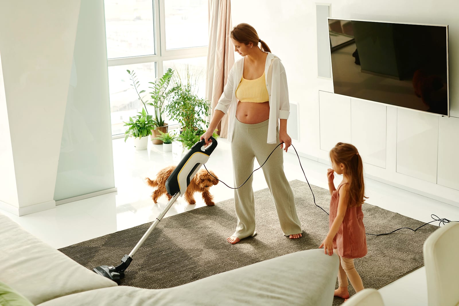 Meilleur aspirateur poils d'animaux 2026 : lequel choisir ?